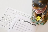 治療法はない狂犬病